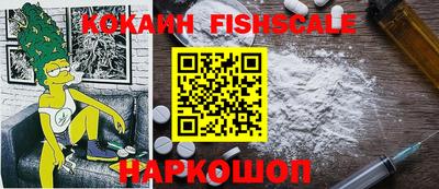 индика Партизанск