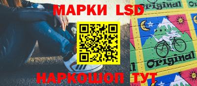 индика Партизанск
