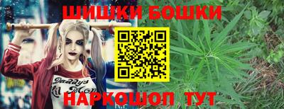 индика Партизанск