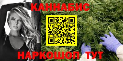 гидропоника Пенза