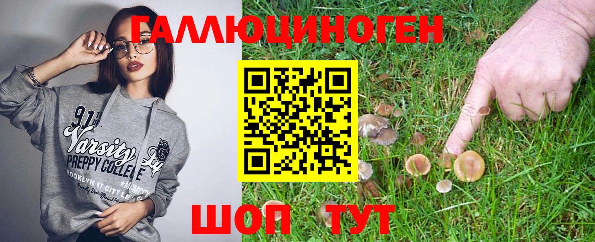 Псилоцибиновые грибы Cubensis Первоуральск