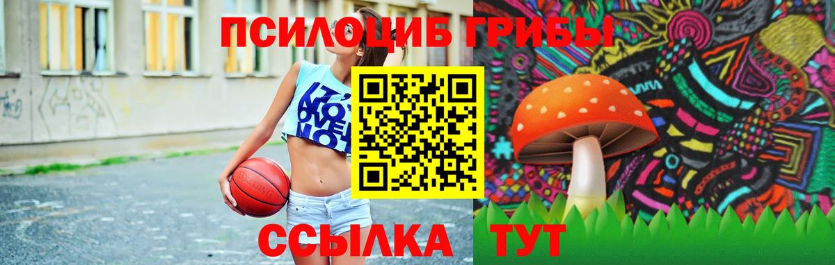 Первоуральск  Псилоцибиновые грибы GOLDEN TEACHER  Галлюциногенные грибы мухоморы  купить наркотик  Вход с VPN 